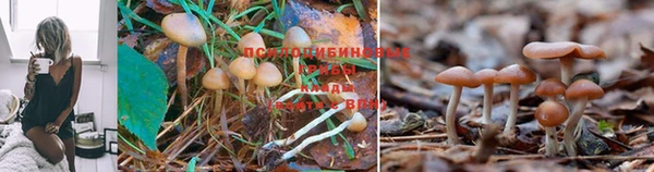 мяу мяу кристалл Михайловка