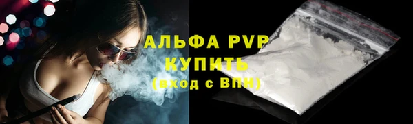 ПСИЛОЦИБИНОВЫЕ ГРИБЫ Слюдянка