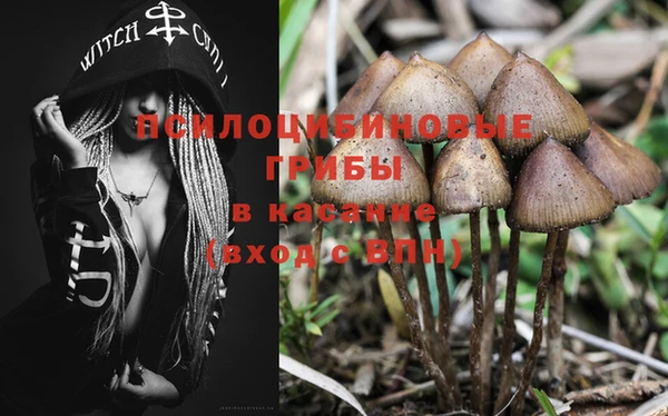 дурь Михайловск