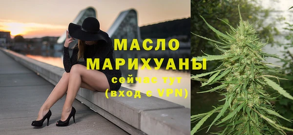 индика Снежногорск