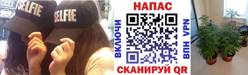 как найти закладки  OMG вход  Шишки марихуана THC 21%  Цоци-Юрт 